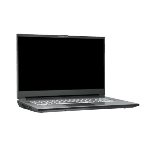 Clevo NH79ERQ 17,3-inch AMD gamer